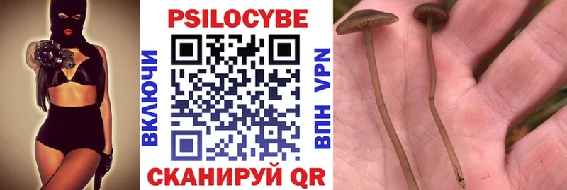 Псилоцибиновые грибы мухоморы  сколько стоит  OMG зеркало  Тулун 