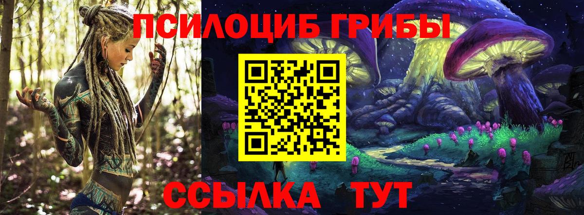 Галлюциногенные грибы Psilocybe Тулун