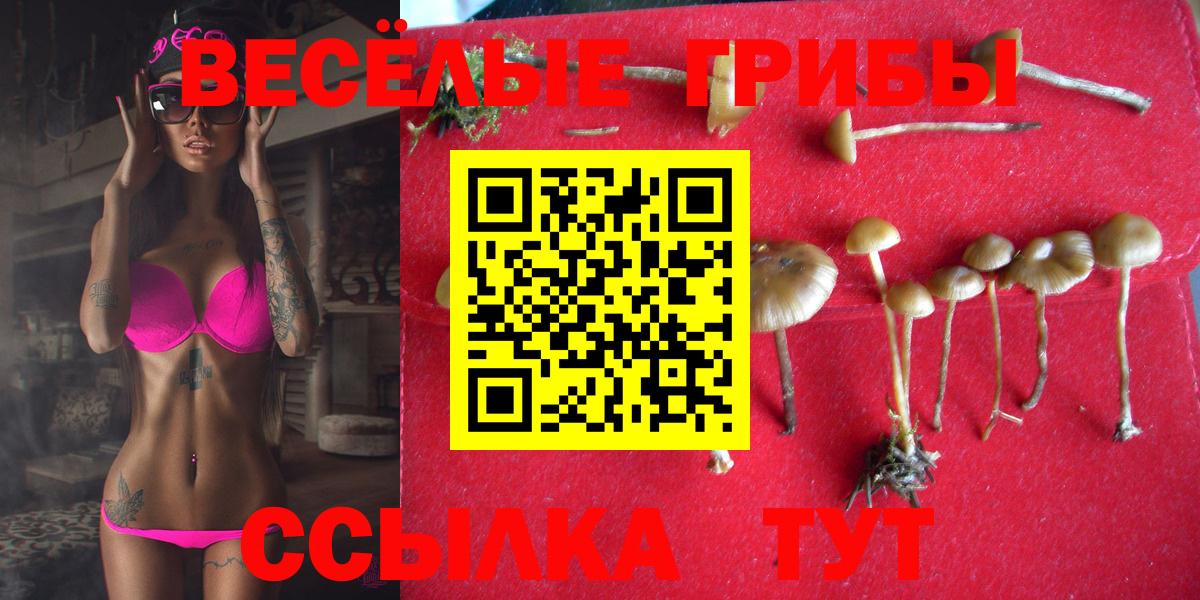 Галлюциногенные грибы Cubensis  Псилоцибиновые грибы Magic Shrooms  Тулун  Вход с VPN 